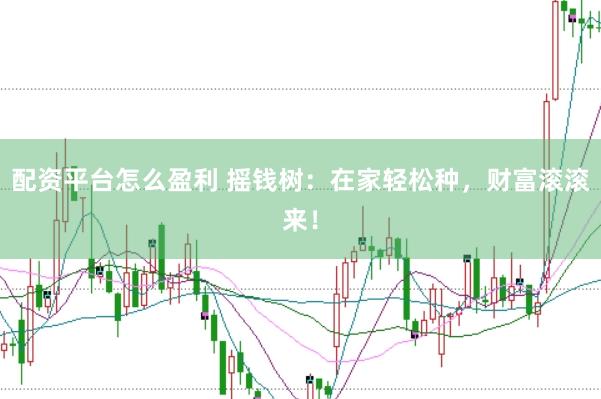 配资平台怎么盈利 摇钱树：在家轻松种，财富滚滚来！