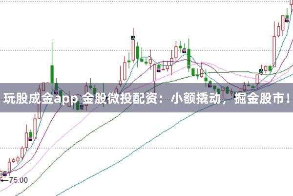 玩股成金app 金股微投配资:小额撬动,掘金股市!