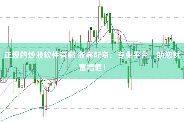 正规的炒股软件有哪 浙嘉配资：专业平台，助您财富增值！