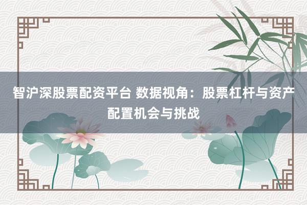 智沪深股票配资平台 数据视角:股票杠杆与资产配置机会与挑战