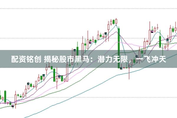 配资铭创 揭秘股市黑马:潜力无限,一飞冲天