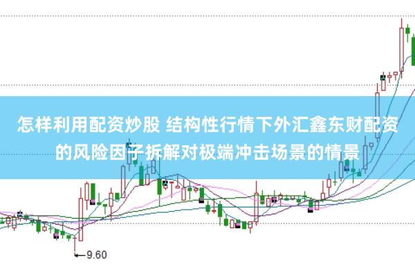 怎样利用配资炒股 结构性行情下外汇鑫东财配资的风险因子拆解对极端冲击场景的情景
