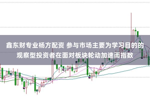 鑫东财专业杨方配资 参与市场主要为学习目的的观察型投资者在面对板块轮动加速而指数