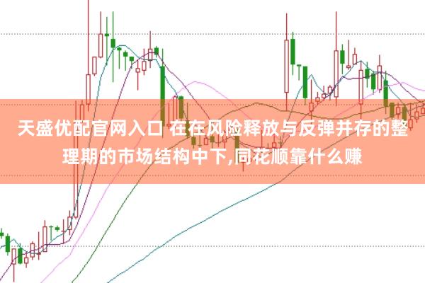 天盛优配官网入口 在在风险释放与反弹并存的整理期的市场结构中下,同花顺靠什么赚