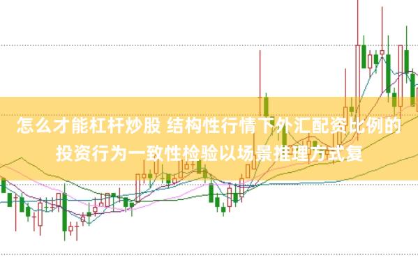 怎么才能杠杆炒股 结构性行情下外汇配资比例的投资行为一致性检验以场景推理方式复