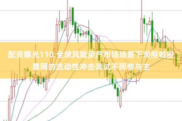 配资曝光110 全球风险资产市场场景下淘股啦股票网的流动性冲击测试不同参与主