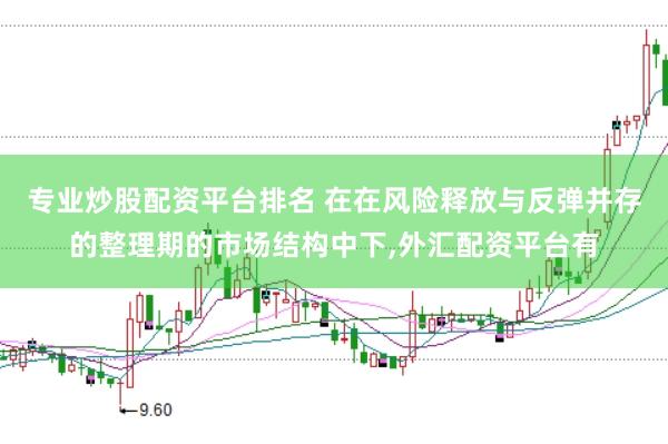 专业炒股配资平台排名 在在风险释放与反弹并存的整理期的市场结构中下，外汇配资平台有