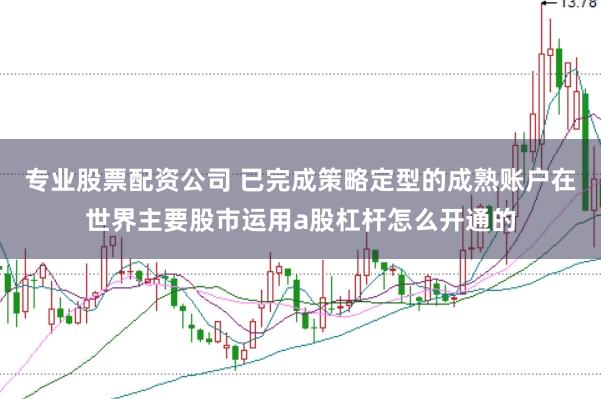专业股票配资公司 已完成策略定型的成熟账户在世界主要股市运用a股杠杆怎么开通的