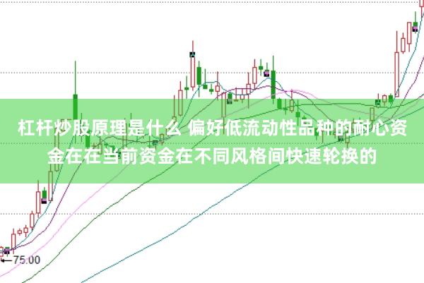杠杆炒股原理是什么 偏好低流动性品种的耐心资金在在当前资金在不同风格间快速轮换的