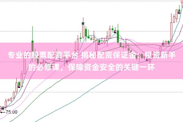 专业的股票配资平台 揭秘配资保证金:投资新手的必修课,保障资金安全的关键一环