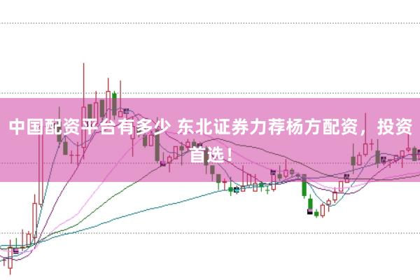 中国配资平台有多少 东北证券力荐杨方配资，投资首选！
