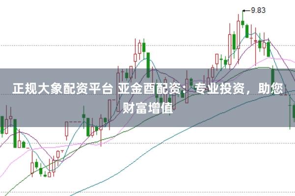 正规大象配资平台 亚金酉配资：专业投资，助您财富增值