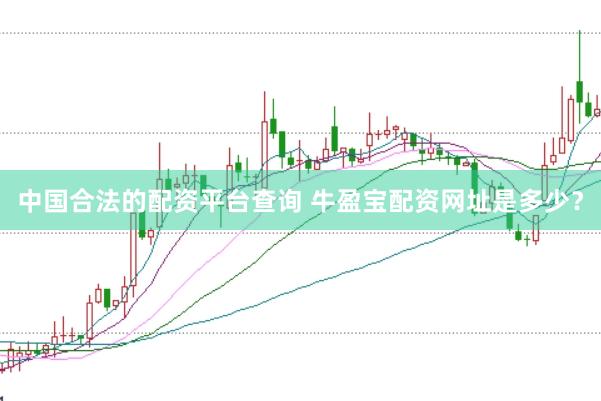 中国合法的配资平台查询 牛盈宝配资网址是多少？