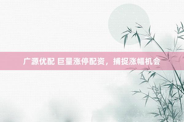 广源优配 巨量涨停配资，捕捉涨幅机会