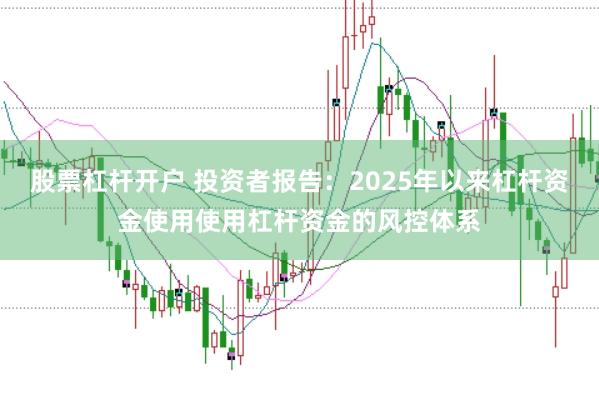 股票杠杆开户 投资者报告：2025年以来杠杆资金使用使用杠杆资金的风控体系